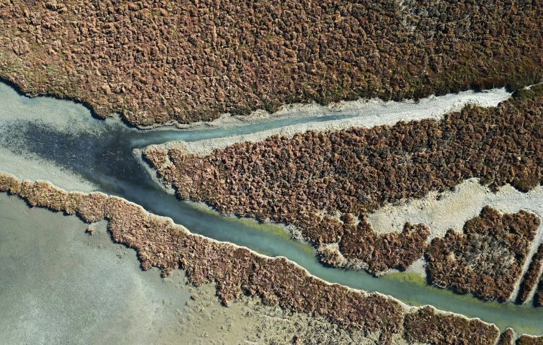 Aerial example: Ecosystem service models