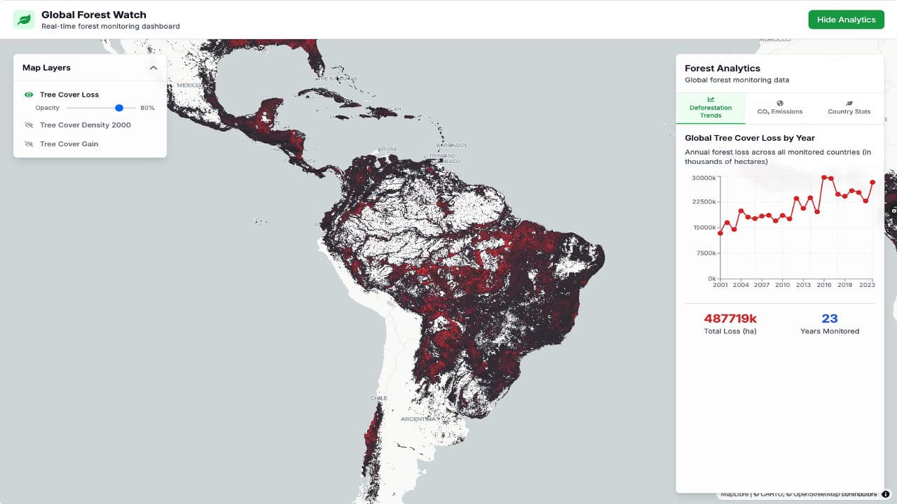 Global Deforestation thumbnail