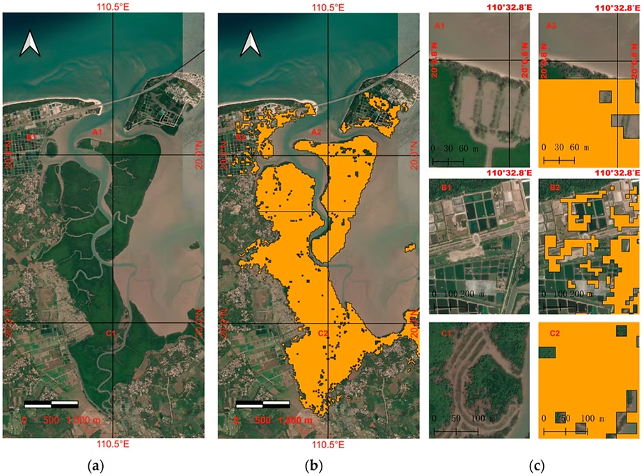 Satellite image and machine-learning classification of a coastal delta, with detected mangrove extent highlighted in orange across three zoomed insets