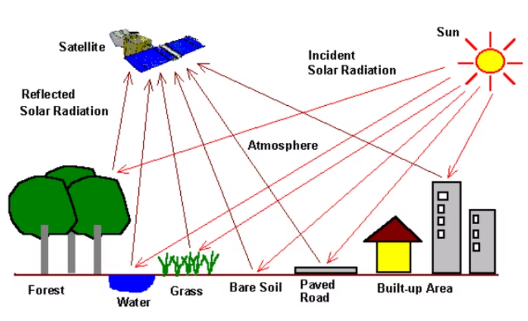 Diagram of solar radiation reflecting off a satellite sensor from forest, water, grass, bare soil, road, and built-up surfaces