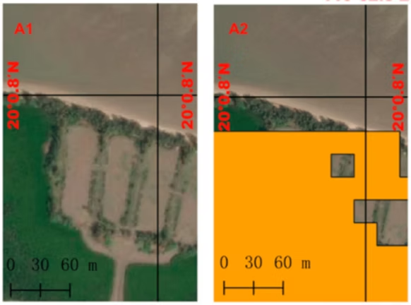 Side-by-side satellite image and model output showing shrimp ponds incorrectly classified as mangrove in orange
