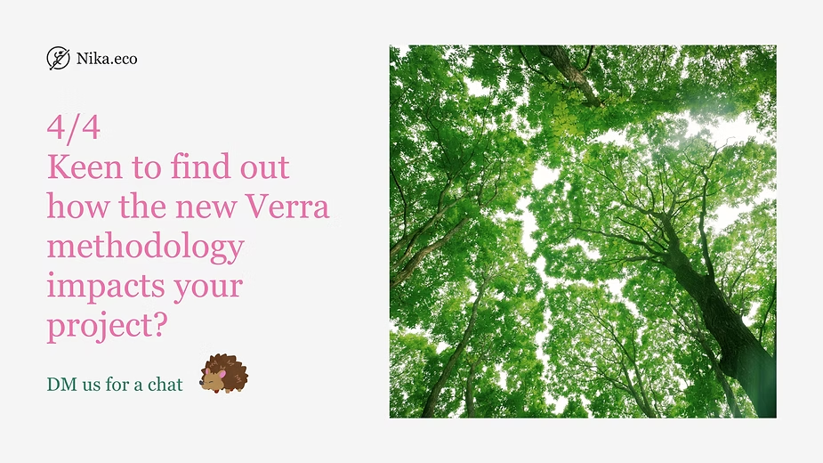 Forest canopy viewed from below with a call-to-action asking readers to reach out about how the new Verra methodology affects their project