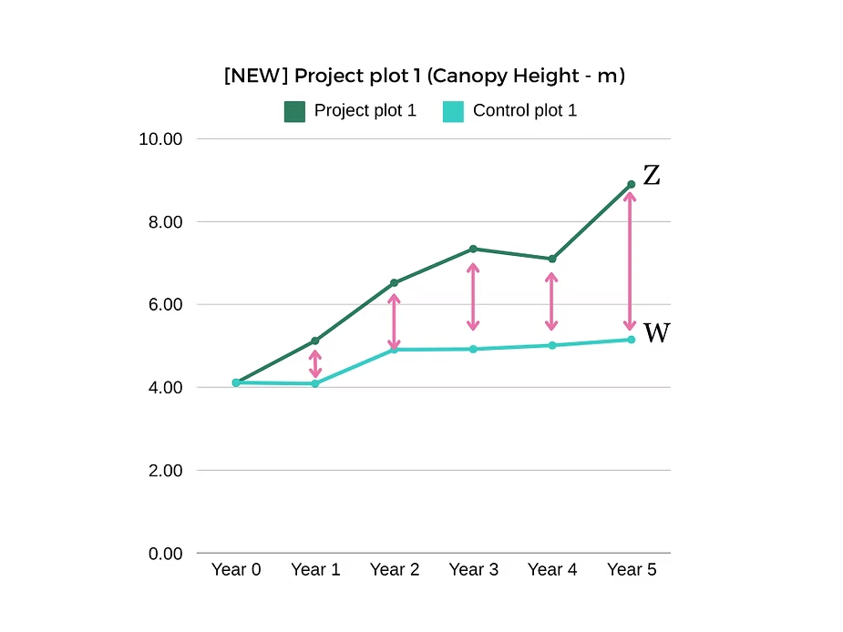 Line chart comparing canopy height growth of a project plot (Z) against a recalibrated control plot (W) across five years under the new methodology