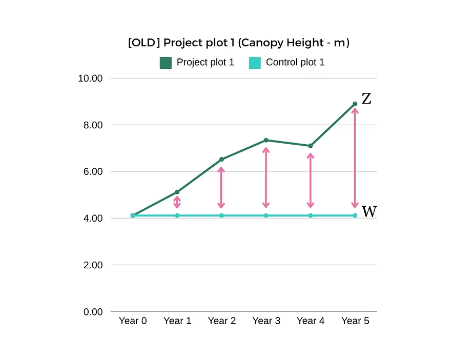 Line chart comparing project plot canopy height growth (Z) against a flat static baseline (W) across five years under the old methodology
