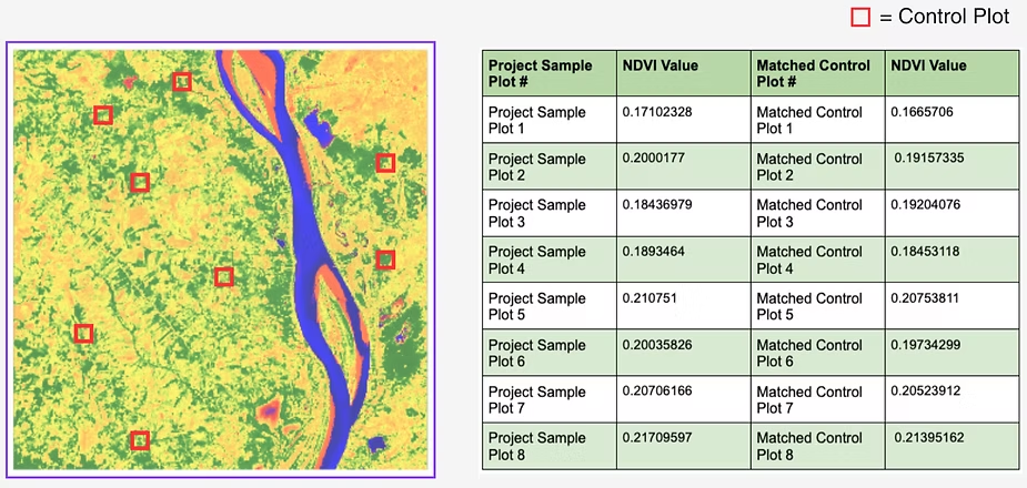Satellite NDVI vegetation map of a river delta with eight control plots marked, alongside a table comparing NDVI values of project sample plots to their matched control plots